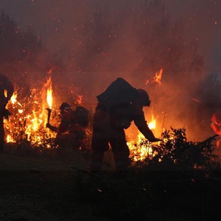 Tre incendi boschivi tra Ventimiglia, Ceriana e Diano Borganzo nelle ultime ore: intervento di Vvf e Volontari