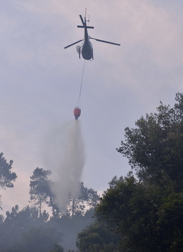 Vasia: incendio boschivo in atto, sul posto Vigili del Fuoco, volontari e un elicottero