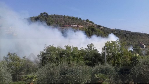 Imperia: piccolo incendio di sterpaglie nella zona di 'Piana via' a Vasia, intervento dei Vigili del Fuoco Imperia: piccolo incendio di sterpaglie nella zona di 'Piana via' a Vasia, intervento dei Vigili del Fuoco
