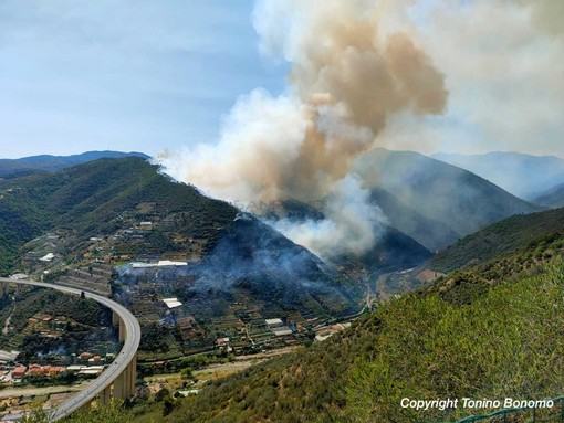 Ecco come si presenta oggi la montagna dopo l'incendio di ieri (sotto le foto dello spegnimento)