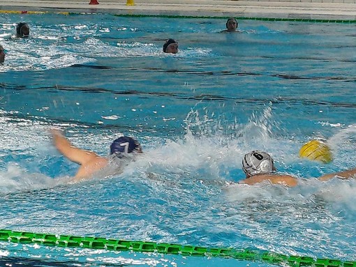 Pallanuoto Serie B.  Rapallo - Rari Nantes Imperia sospesa per rissa