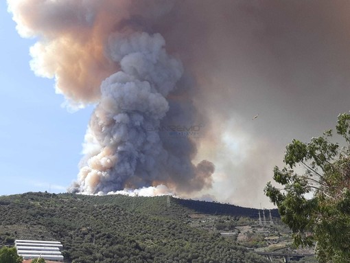 Settore forestale, vice presidente Piana: "Bandi per oltre 14 milioni di euro per la prevenzione dei danni da incendi e altre calamità"