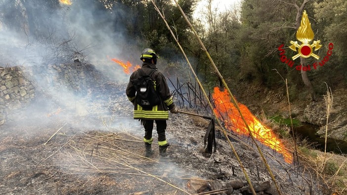 Rami pericolanti e la ripresa dell'incendio a Ceriana: Vigili del Fuoco al lavoro per il forte vento