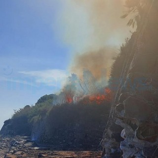 Costarainera: fiamme in un canneto sotto il 'Barellai', intervento dei Vigili del Fuoco (Foto)