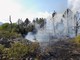 Pietrabruna: incendio sul monte Follia spento già ieri sera, nella notte un presidio di controllo