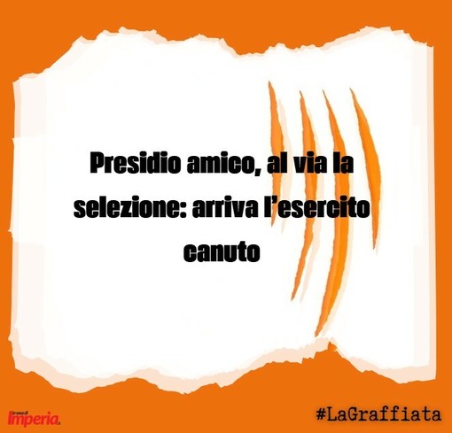 LA GRAFFIATA. Presidio Amico, al via la selezione: arriva l'esercito canuto LA GRAFFIATA. Presidio Amico, al via la selezione: arriva l'esercito canuto