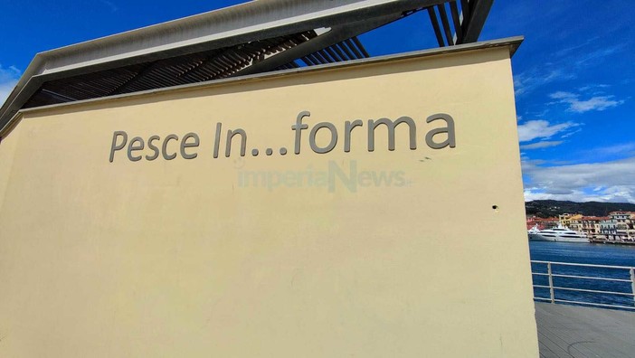 L'Infopoint del porto di Oneglia in concessione, il Comune: "Puntiamo su turismo e commercio"