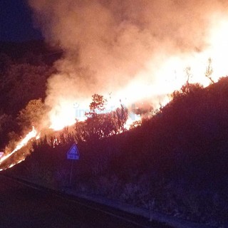 Le immagini dal luogo dell'incendio