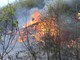 Borghetto D'Arroscia: incendio boschivo in zona Colle Domenica, Vigili del Fuoco e volontari in azione (Foto)