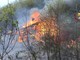 Borghetto D'Arroscia: incendio boschivo in zona Colle Domenica, Vigili del Fuoco e volontari in azione (Foto) Borghetto D'Arroscia: incendio boschivo in zona Colle Domenica, Vigili del Fuoco e volontari in azione (Foto)