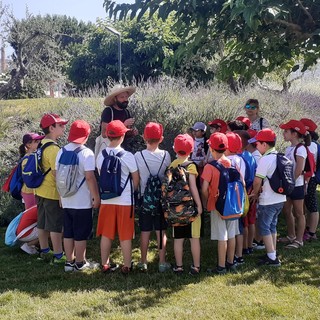 Lezione naturalistica all'aperto per i bambini della scuola primaria di Pontedassio (Foto)