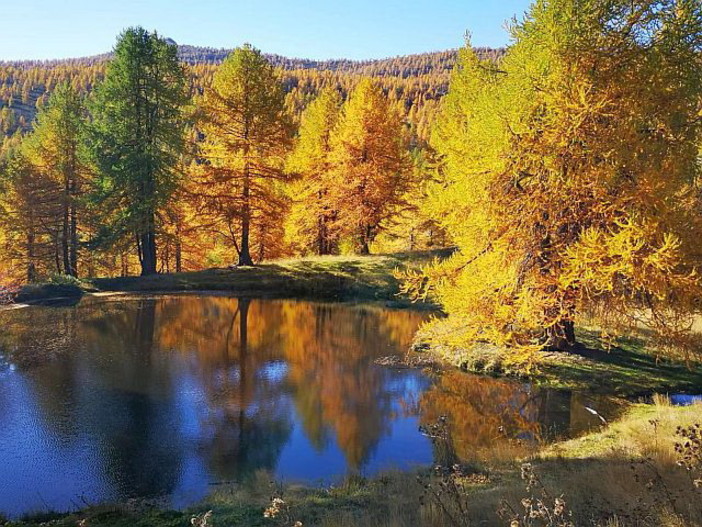 Aree protette: il rilancio in Liguria parte dalla biodiversità e dallo sviluppo sostenibile Aree protette: il rilancio in Liguria parte dalla biodiversità e dallo sviluppo sostenibile