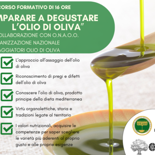 A Imperia il corso dell'Organizzazione Nazionale Assaggiatori di Olio di Oliva A Imperia il corso dell'Organizzazione Nazionale Assaggiatori di Olio di Oliva