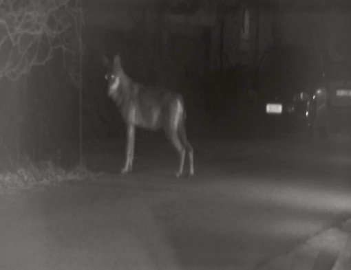 Foto d'archivio Foto d'archivio