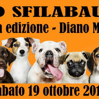 Diano Marina: sabato prossimo, 1a edizione dell'evento benefico denominato 'Sfilabau' Diano Marina: sabato prossimo, 1a edizione dell'evento benefico denominato 'Sfilabau'