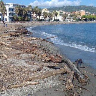 San Bartolomeo al Mare: rimozione della legna 'spiaggiata', la raccolta potrà avvenire tutti i giorni dalle 9 alle 17