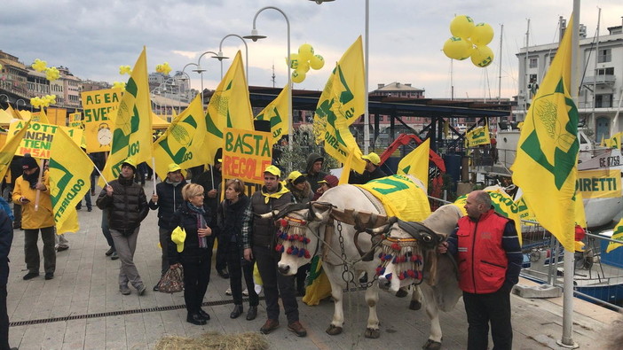 100 milioni di danni all'agricoltura per maltempo e ponte 'Morandi': Coldiretti scende in piazza a Genova 100 milioni di danni all'agricoltura per maltempo e ponte 'Morandi': Coldiretti scende in piazza a Genova