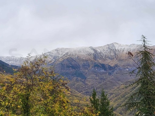 Freddo in arrivo in Liguria: neve attesa fino a quote molto basse tra venerdì e sabato Freddo in arrivo in Liguria: neve attesa fino a quote molto basse tra venerdì e sabato