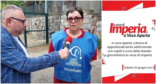 Diciannovesima puntata di "A Voce aperta": ospite la vicepresidente del rifugio "La cuccia" Manuela Romagnolo Diciannovesima puntata di "A Voce aperta": ospite la vicepresidente del rifugio "La cuccia" Manuela Romagnolo