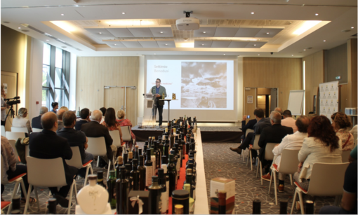 Masters of Olive Oil International Contest 2023, al via a Dolceacqua le sessioni di assaggio Masters of Olive Oil International Contest 2023, al via a Dolceacqua le sessioni di assaggio