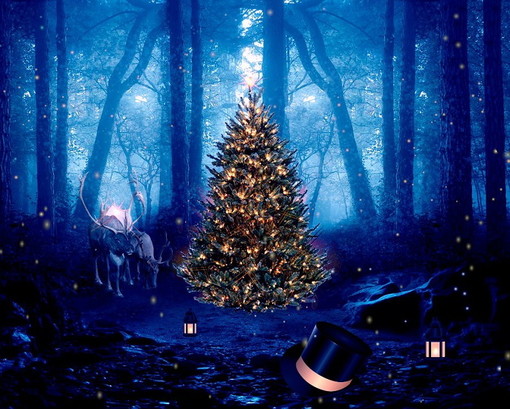 Tutti gli appuntamenti e manifestazioni da sabato 23 a martedì 26 dicembre, in Riviera e Côte d'Azur