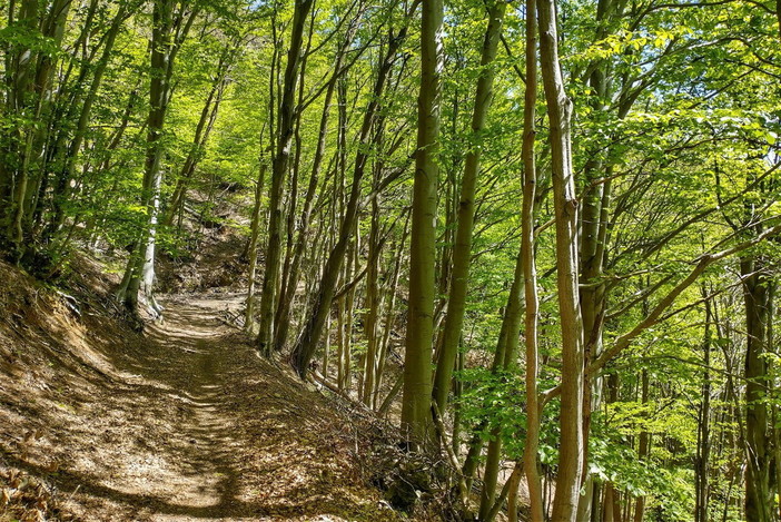 Da venerdì prossimo al 1° luglio tre escursioni nell'entroterra con le guide di 'Ponente Experience' Da venerdì prossimo al 1° luglio tre escursioni nell'entroterra con le guide di 'Ponente Experience'