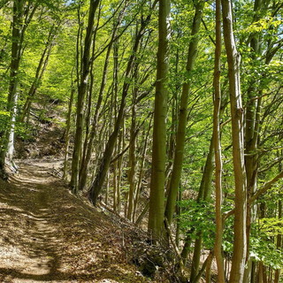 Da venerdì prossimo al 1° luglio tre escursioni nell'entroterra con le guide di 'Ponente Experience'