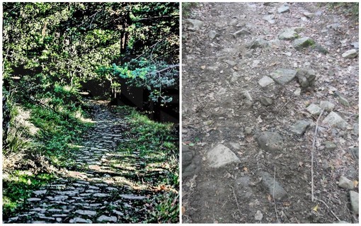 Mulattiera di Monte Bignone prima e dopo Mulattiera di Monte Bignone prima e dopo