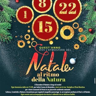 Ai Vivai Montina di Cisano il Natale segue il ritmo della Natura. Ai Vivai Montina di Cisano il Natale segue il ritmo della Natura.