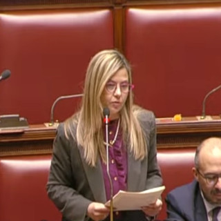 Carceri: Gadda, su recidiva molte parole ma pochi fatti Carceri: Gadda, su recidiva molte parole ma pochi fatti