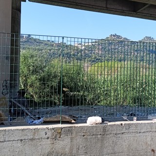 Migrante morto a Ventimiglia. CGIL Imperia “Subito il Pad promesso dal ministro Piantedosi”
