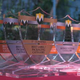 Monaco: sabato prossimo premiazioni e meeting del concorso ‘Masters of Olive Oil International Contest’