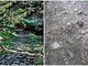 Mulattiera di Monte Bignone prima e dopo