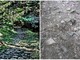 Mulattiera di Monte Bignone prima e dopo Mulattiera di Monte Bignone prima e dopo