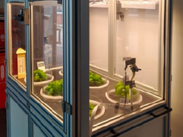 Tre innovativi simulatori di campo per l’Its di Imperia, permetteranno di riprodurre le condizioni naturali di crescita delle piante in laboratorio Tre innovativi simulatori di campo per l’Its di Imperia, permetteranno di riprodurre le condizioni naturali di crescita delle piante in laboratorio