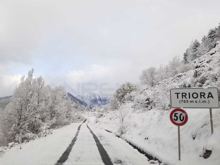 Maltempo sulla provincia: nevica sulle alture a Bignone, San Romolo, Triora e sul Colle di Nava Maltempo sulla provincia: nevica sulle alture a Bignone, San Romolo, Triora e sul Colle di Nava