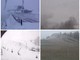 Maltempo: mentre nevica sul basso Piemonte e piove sull'entroterra è il vento a farla da padrone sulla costa Maltempo: mentre nevica sul basso Piemonte e piove sull'entroterra è il vento a farla da padrone sulla costa