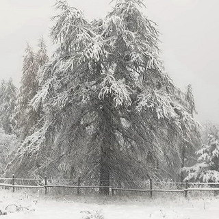 Maltempo in arrivo, scatta l'allerta gialla in tutta la provincia di Imperia: domani prevista neve anche a bassa quota