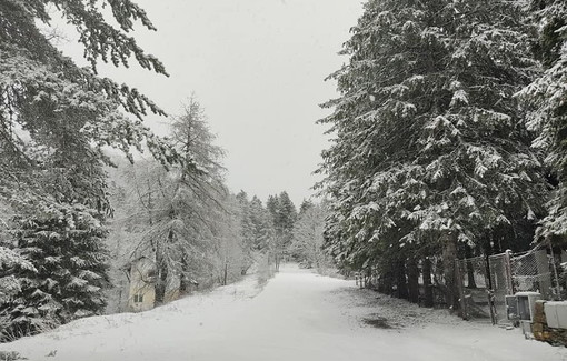 Maltempo: 20 cm di neve a Monesi e 40 nel basso Piemonte, in arrivo vento e calo delle temperature