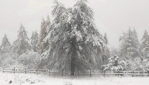 Un regalo di articoli sportivi è sempre gradito. Su Stileo.it puoi trovare prodotti Salomon a prezzi competitivi Un regalo di articoli sportivi è sempre gradito. Su Stileo.it puoi trovare prodotti Salomon a prezzi competitivi