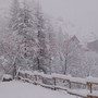 ARPAL. Prolungata l’allerta gialla per neve su Val Bormida e Val d'Aveto ARPAL. Prolungata l’allerta gialla per neve su Val Bormida e Val d'Aveto