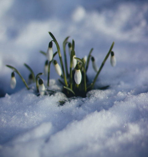 Sta per iniziare la primavera dopo un mite inverno ma febbraio è stato il più piovoso degli ultimi 5 anni Sta per iniziare la primavera dopo un mite inverno ma febbraio è stato il più piovoso degli ultimi 5 anni