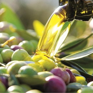 Unione Europea: l’etichetta ‘a semaforo’ boccia l’olio extravergine d’oliva insieme all’85% dei prodotti Made in Italy