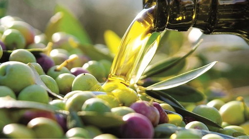 Dazi Usa, il Ponente  tranquillo: &quot;Non preoccupano, il nostro è un export di nicchia&quot;