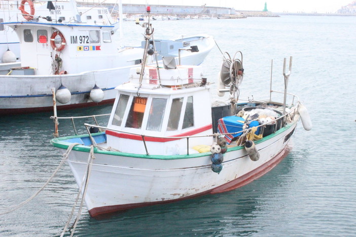 Stop all’aumento dell’Iva: Coldiretti conferma “Manovra importante per il settore ittico locale” Stop all’aumento dell’Iva: Coldiretti conferma “Manovra importante per il settore ittico locale”
