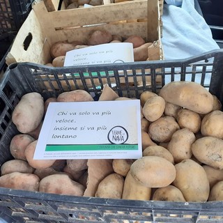 Colle di Nava: l’alluvione non ferma il progetto, prosegue la raccolta fondi per il sentiero naturalistico attrezzato per disabili