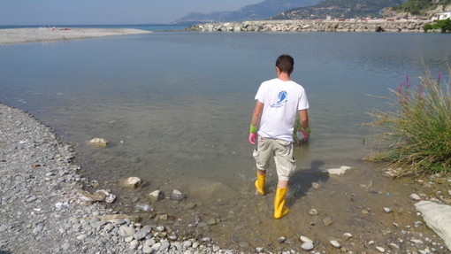 Prelievi di 'Goletta Verde' e Legambiente nel Ponente: inquinato il mare in tre zone della nostra provincia Prelievi di 'Goletta Verde' e Legambiente nel Ponente: inquinato il mare in tre zone della nostra provincia