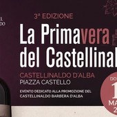 La Primavera del Castellinaldo Barbera d’Alba