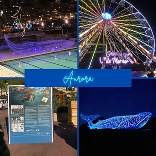 L'arte in supporto al Santuario Pelagos: accordo con il Rotary Club del Principato di Monaco L'arte in supporto al Santuario Pelagos: accordo con il Rotary Club del Principato di Monaco