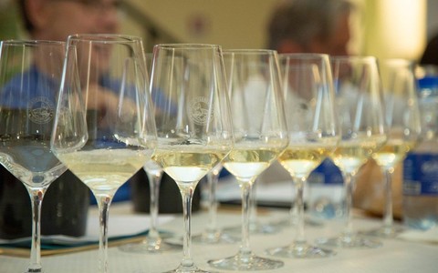 Premio Vermentino Diano Castello